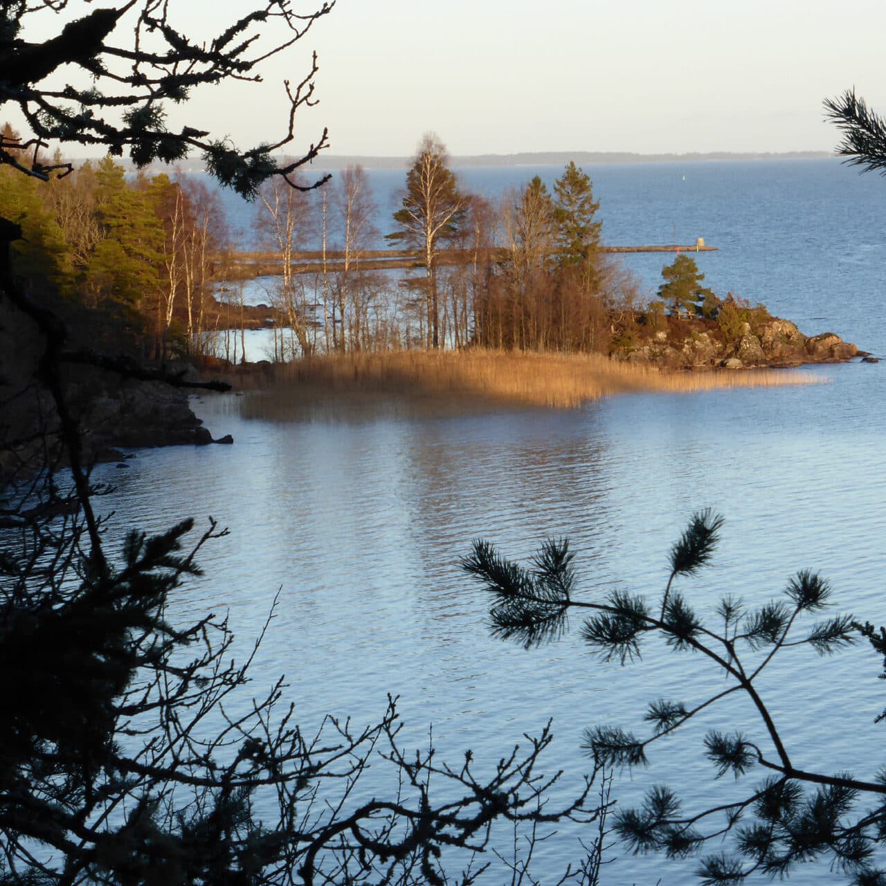 Utsikt över en udde i Vänern i Naturreservatet Dalbobergen