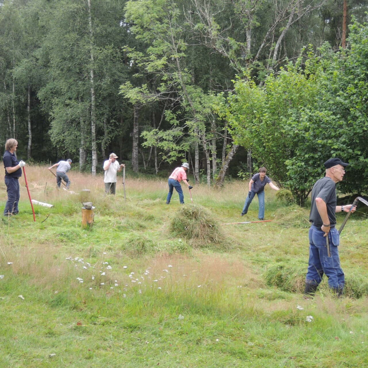 Slåtter vid Grinnsjötorp