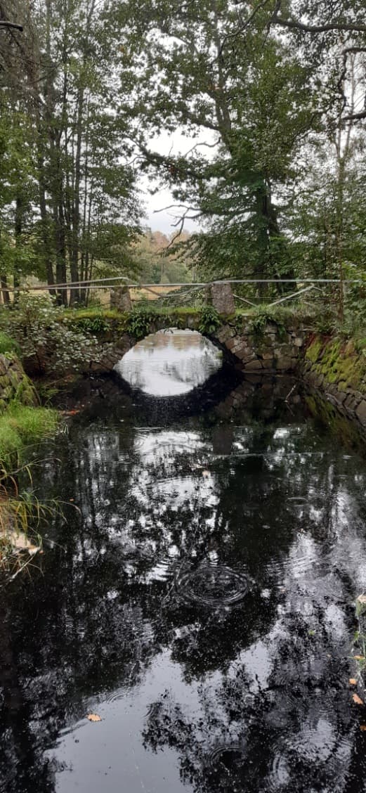 Hunnebergs platåer med en stenbro vid sjön Eldmörjan, Hunneberg,