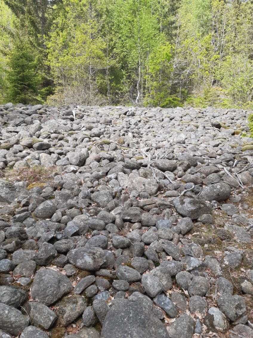 Klapperstensfält i Snappans Naturreservat