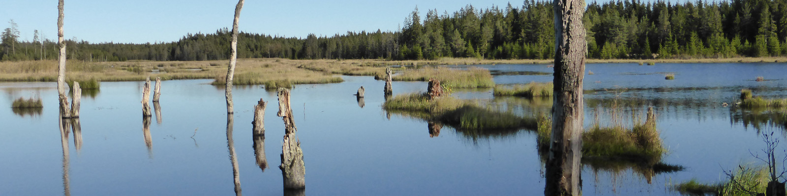 Fågelsjön på Hunneberg