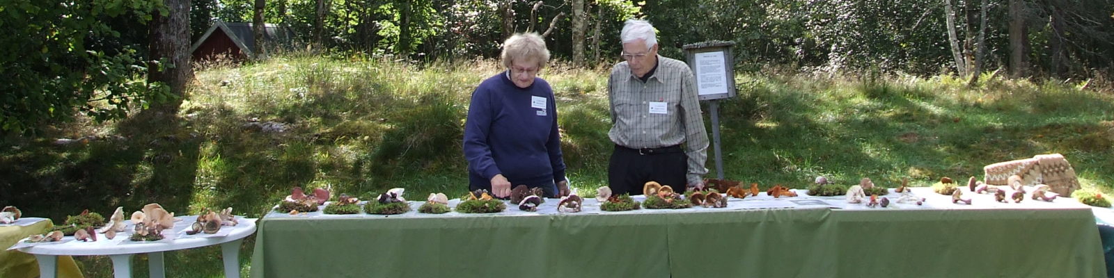 Karin och Anders Bohlin vid bord med utställda svampar.