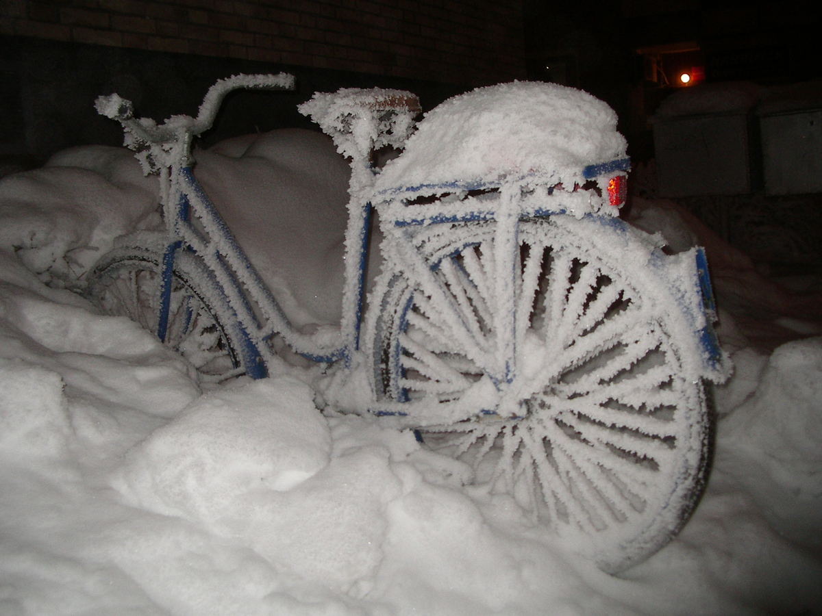 Rimfrost, snö, cykel, vinter, 2010