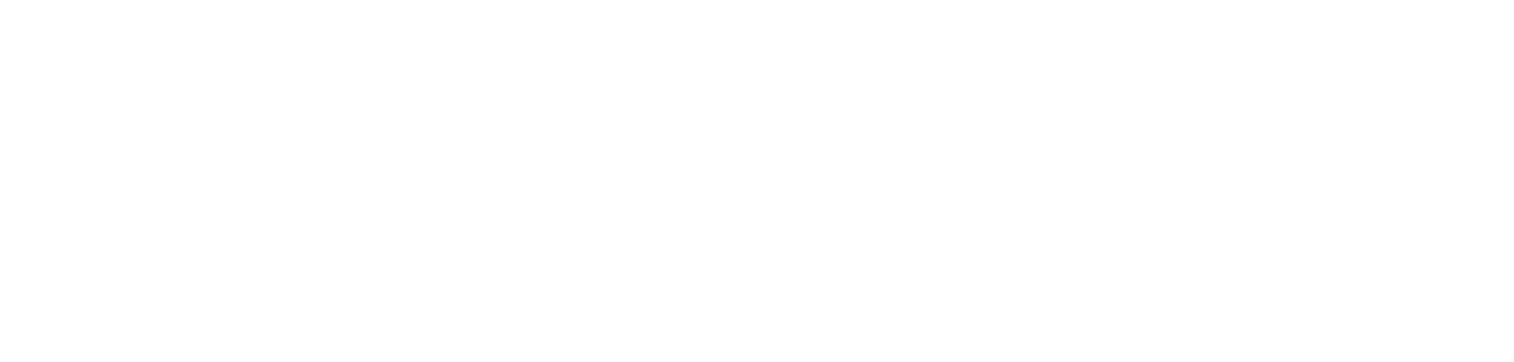 LOGO_NEG_NSF_Vänersborg