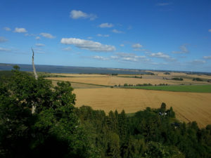 Sädesfält utsikt från Flo klev