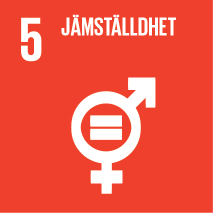 Globala målen Agenda 2030 nr 5 jämställdhet