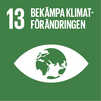 Globala målen Agenda 2030 nr 13 bekämpa klimatförändringen