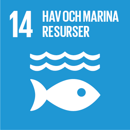 Globala målen Agenda 2030 nr 14 hav och marina resurser
