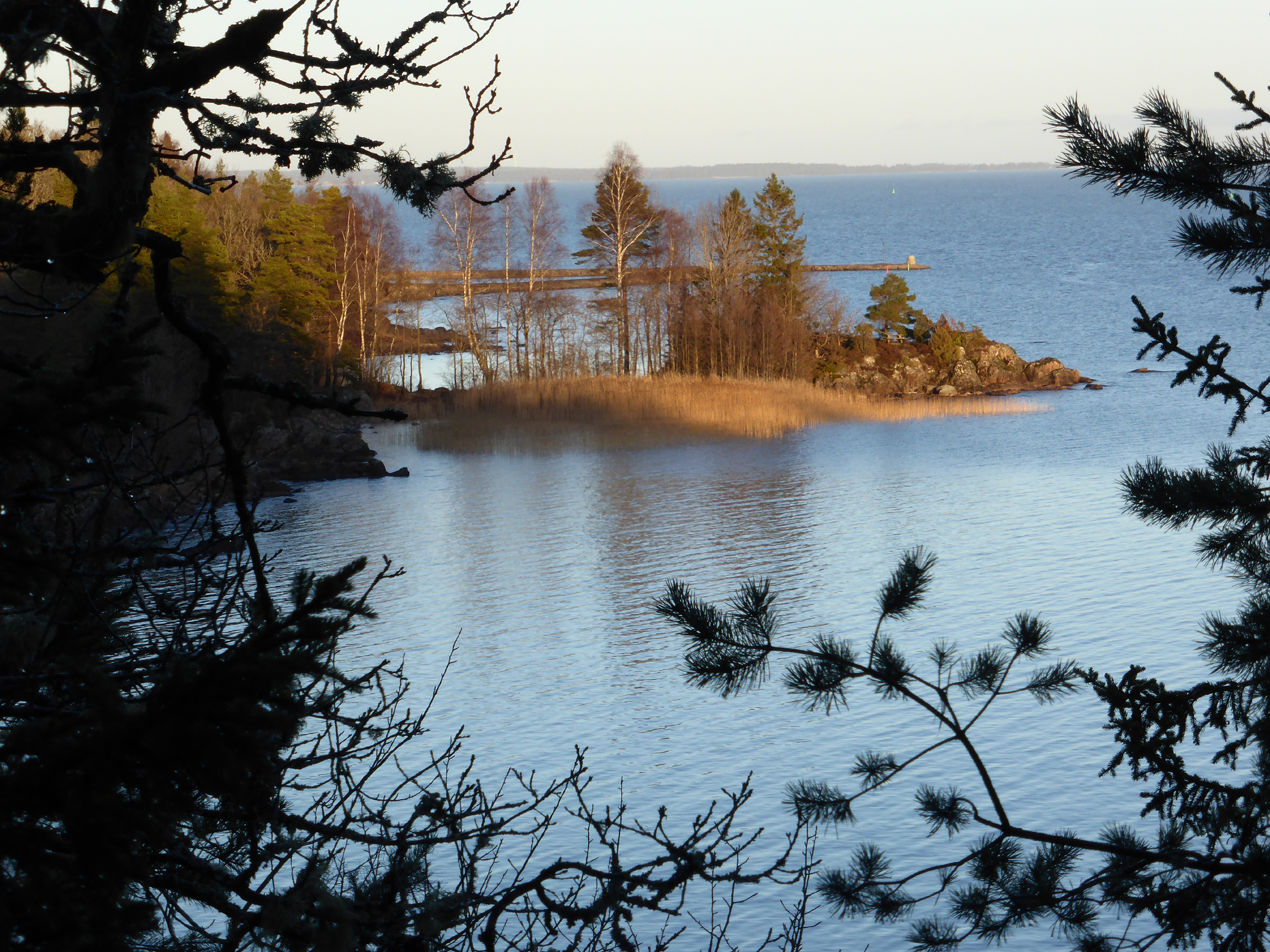 Dalbostigen med nyårsutsikt över en trädbevuxen udde.