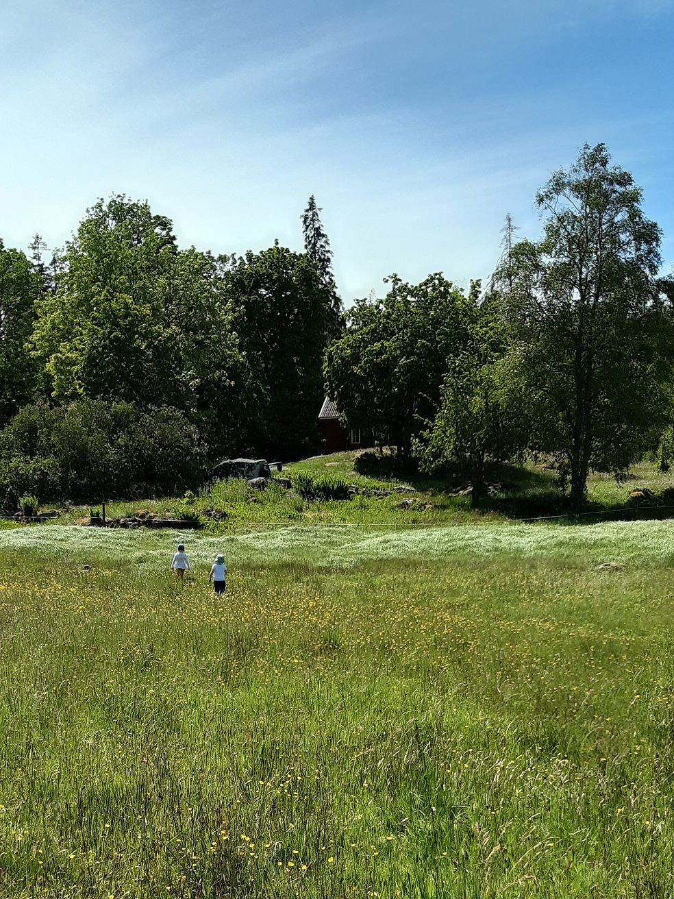 Grinnsjö_naturreservat_200629