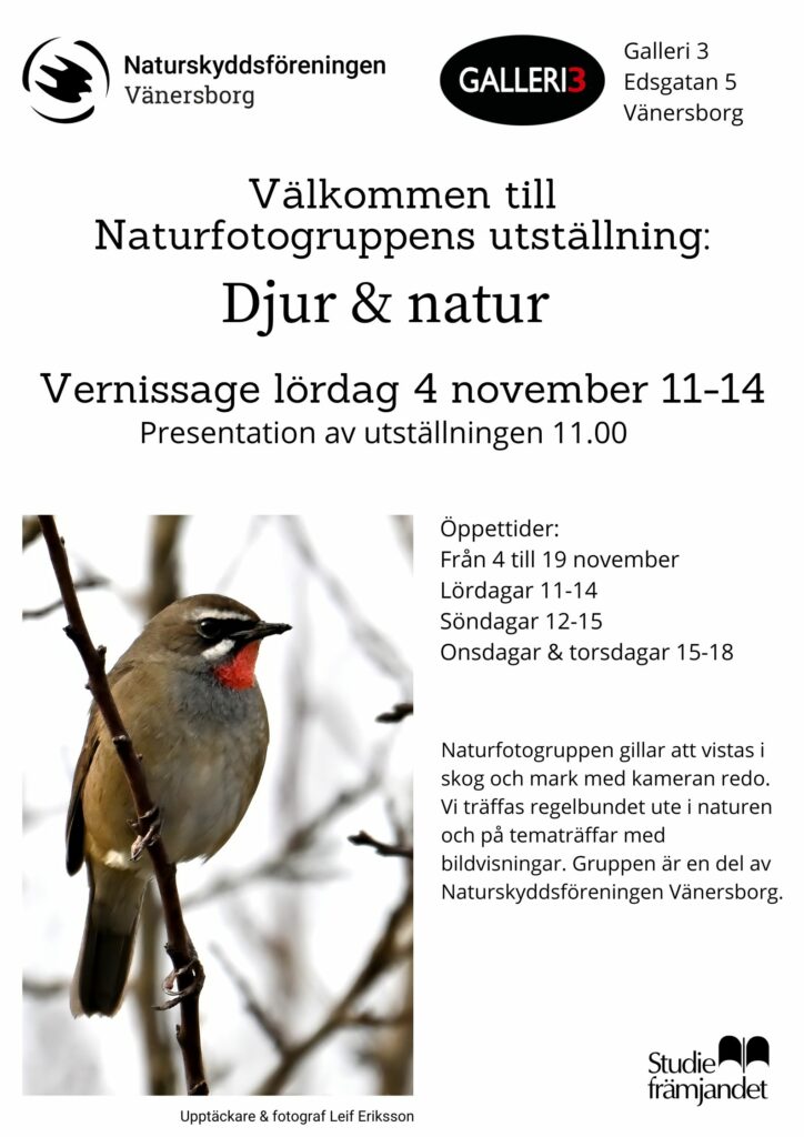 Affisch vernissage fotoutställningn Djur och natur Naturfotogruppen Vänersborg 4 november 2023